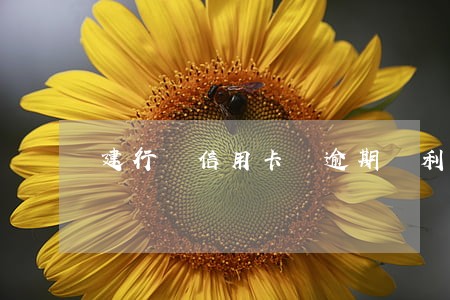 建行 信用卡 逾期 利息 建行 信用卡 逾期 利息